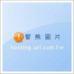 Logistic Label 物流貼紙/單層/多層